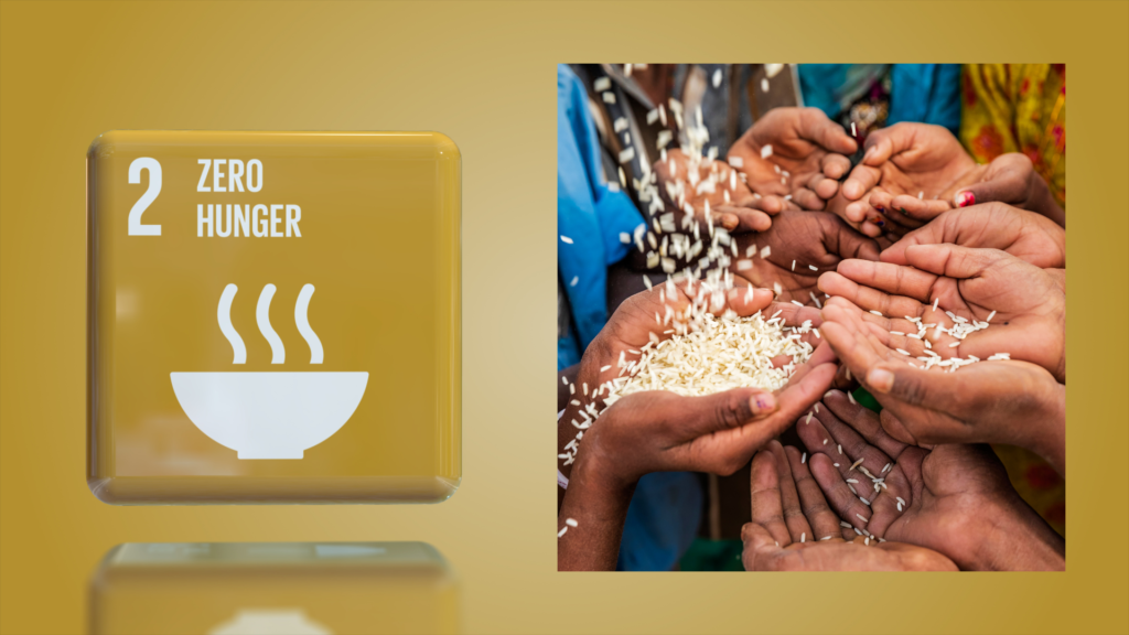 🌍 Hambre Cero: Una Meta Global al Alcance de Todos